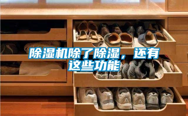 蜜柚直播APP正版下载除了除湿，还有这些功能