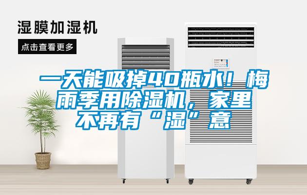 一天能吸掉40瓶水！梅雨季用蜜柚直播APP正版下载，家里不再有“湿”意