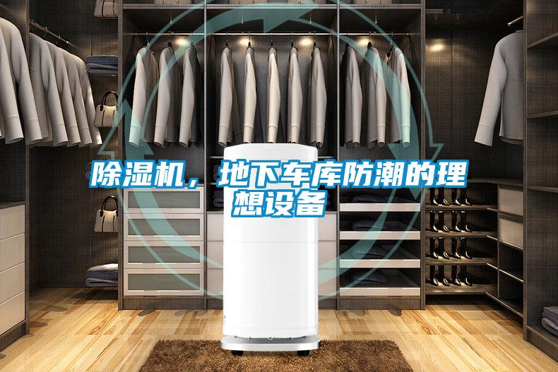蜜柚直播APP正版下载，地下车库防潮的理想设备