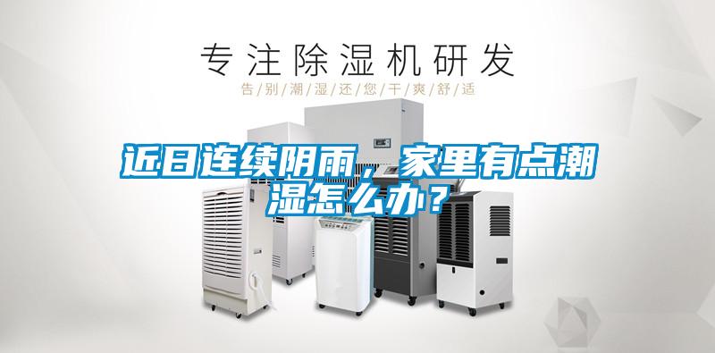 近日连续阴雨，家里有点潮湿怎么办？