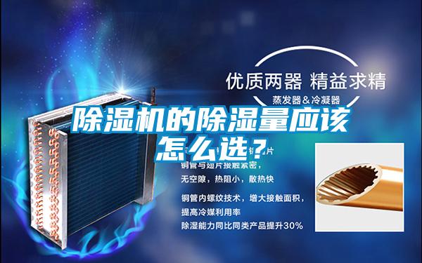 蜜柚直播APP正版下载的除湿量应该怎么选？