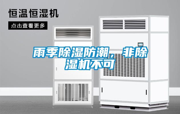 雨季除湿防潮，非蜜柚直播APP正版下载不可