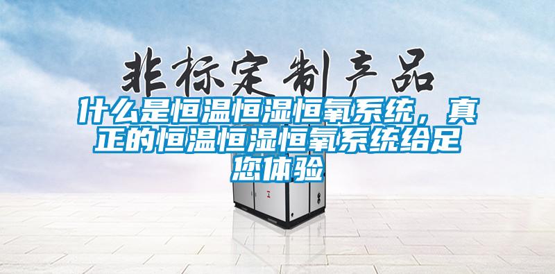 什么是恒温恒湿恒氧系统，真正的恒温恒湿恒氧系统给足您体验