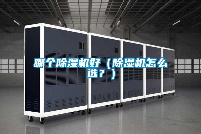 哪个蜜柚直播APP正版下载好（蜜柚直播APP正版下载怎么选？）