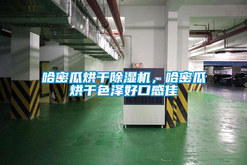 哈密瓜烘干蜜柚直播APP正版下载，哈密瓜烘干色泽好口感佳