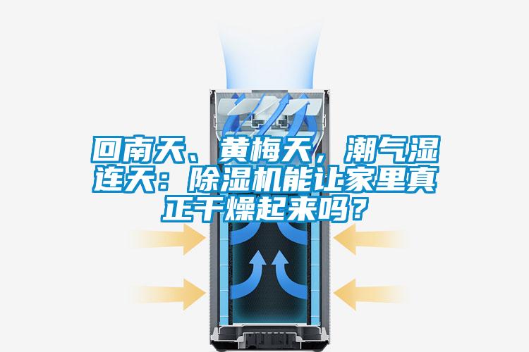 回南天、黄梅天，潮气湿连天：蜜柚直播APP正版下载能让家里真正干燥起来吗？