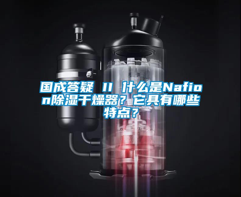 国成答疑 II 什么是Nafion除湿干燥器？它具有哪些特点？