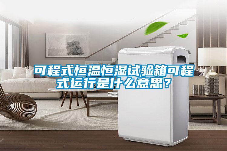 可程式恒温恒湿试验箱可程式运行是什么意思？