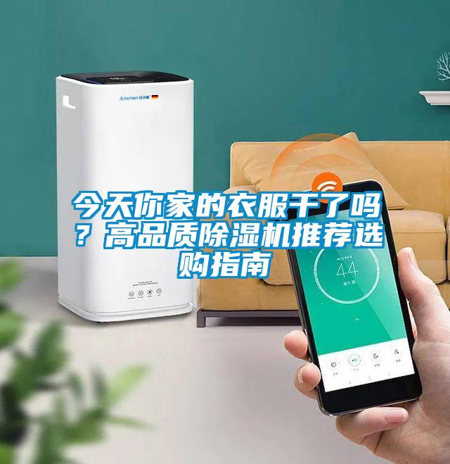 今天你家的衣服干了吗？高品质蜜柚直播APP正版下载推荐选购指南