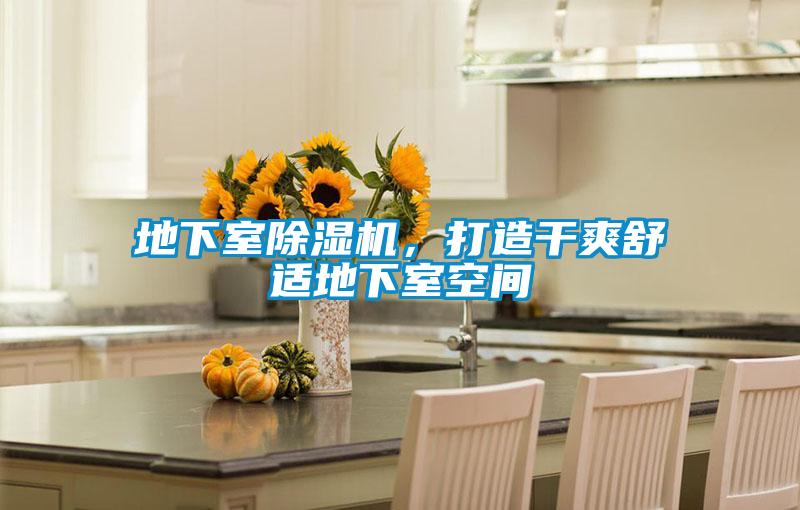 地下室蜜柚直播APP正版下载，打造干爽舒适地下室空间