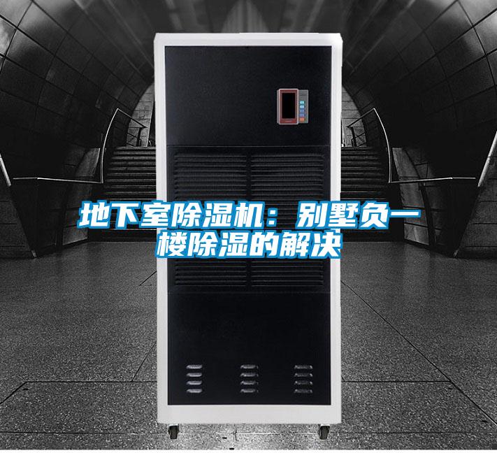 地下室蜜柚直播APP正版下载：别墅负一楼除湿的解决