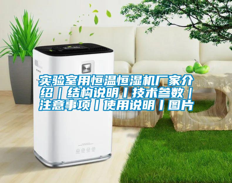实验室用恒温恒湿机厂家介绍｜结构说明丨技术参数｜注意事项丨使用说明丨图片