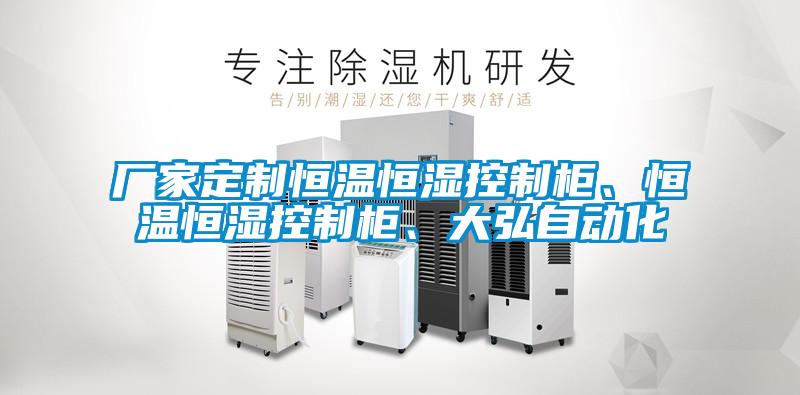 厂家定制恒温恒湿控制柜、恒温恒湿控制柜、大弘自动化