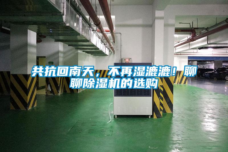 共抗回南天，不再湿漉漉！聊聊蜜柚直播APP正版下载的选购