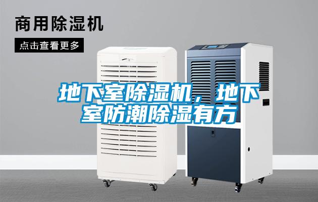 地下室蜜柚直播APP正版下载，地下室防潮除湿有方