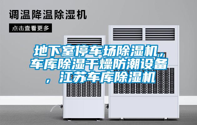 地下室停车场蜜柚直播APP正版下载，车库除湿干燥防潮设备，江苏车库蜜柚直播APP正版下载