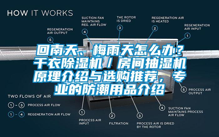 回南天、梅雨天怎么办？干衣蜜柚直播APP正版下载／房间抽湿机原理介绍与选购推荐，专业的防潮用品介绍