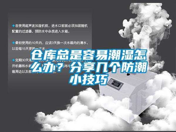 仓库总是容易潮湿怎么办？分享几个防潮小技巧