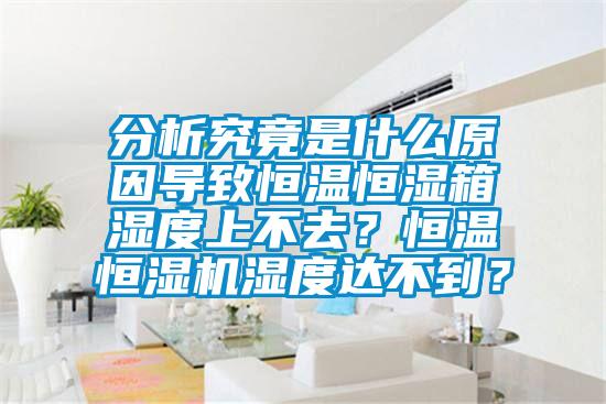 分析究竟是什么原因导致恒温恒湿箱湿度上不去？恒温恒湿机湿度达不到？