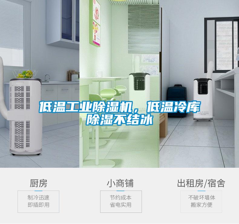 低温工业蜜柚直播APP正版下载，低温冷库除湿不结冰