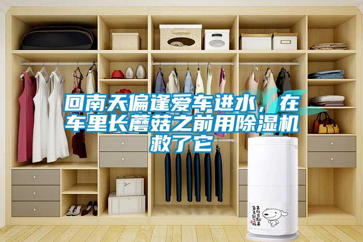 回南天偏逢爱车进水，在车里长蘑菇之前用蜜柚直播APP正版下载救了它