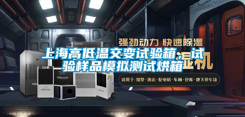 上海高低温交变试验箱，试验样品模拟测试烘箱