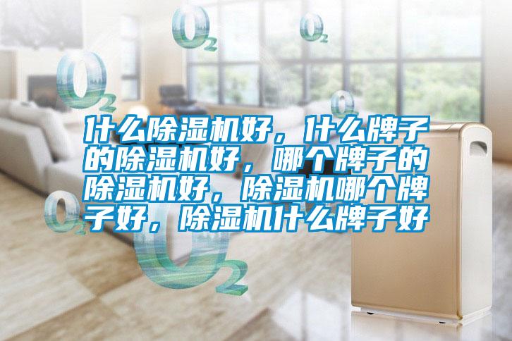 什么蜜柚直播APP正版下载好，什么牌子的蜜柚直播APP正版下载好，哪个牌子的蜜柚直播APP正版下载好，蜜柚直播APP正版下载哪个牌子好，蜜柚直播APP正版下载什么牌子好