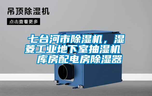 七台河市蜜柚直播APP正版下载，湿菱工业地下室抽湿机  库房配电房除湿器