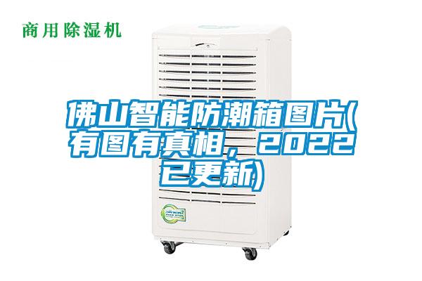 佛山智能防潮箱图片(有图有真相，2022已更新)