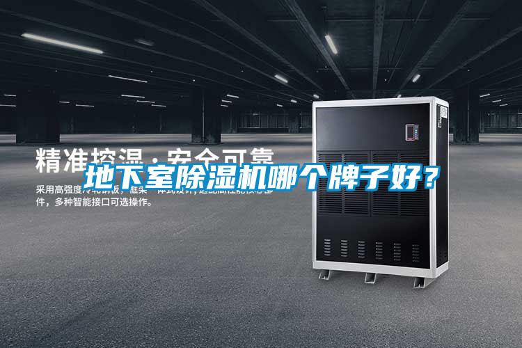 地下室蜜柚直播APP正版下载哪个牌子好？