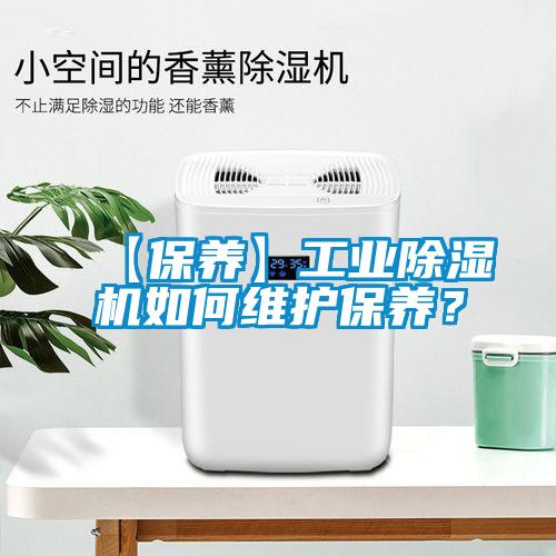 【保养】工业蜜柚直播APP正版下载如何维护保养？