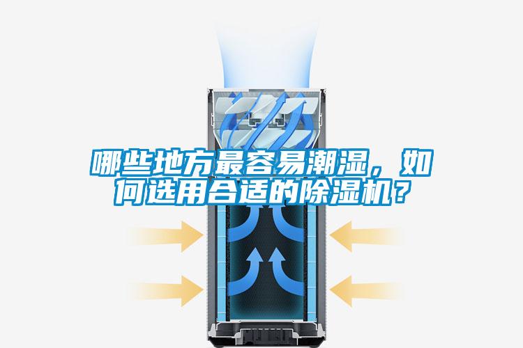 哪些地方最容易潮湿，如何选用合适的蜜柚直播APP正版下载？