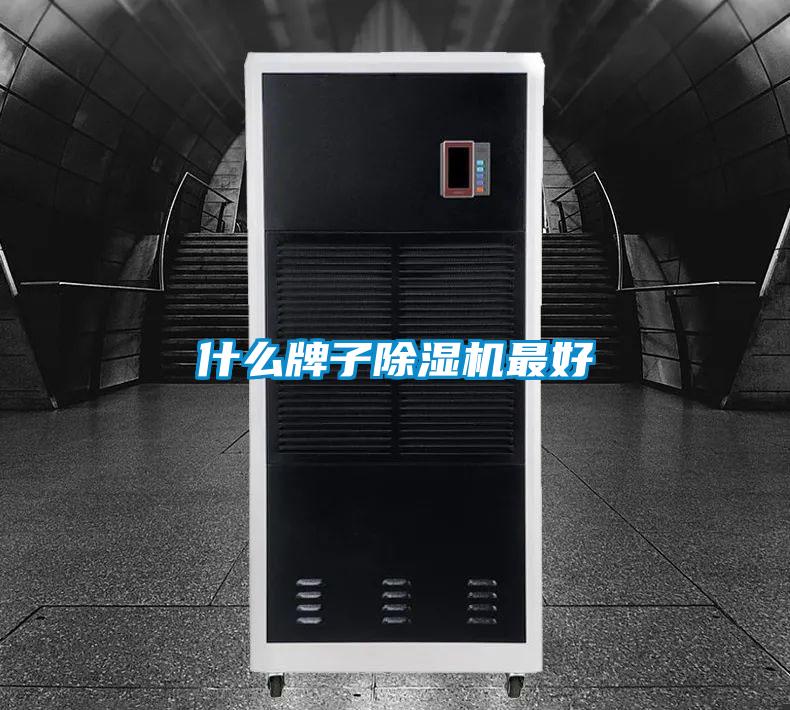 什么牌子蜜柚直播APP正版下载最好