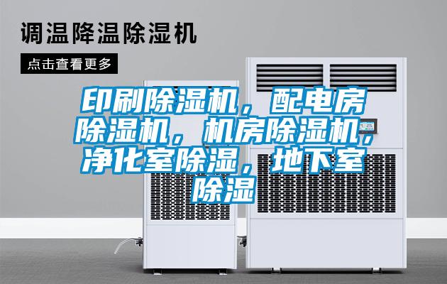 印刷蜜柚直播APP正版下载，配电房蜜柚直播APP正版下载，机房蜜柚直播APP正版下载，净化室除湿，地下室除湿