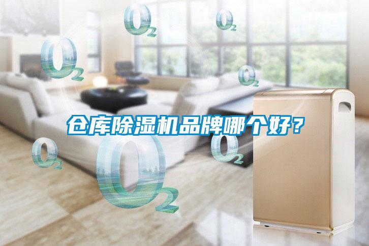 仓库蜜柚直播APP正版下载品牌哪个好？