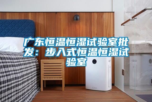 广东恒温恒湿试验室批发：步入式恒温恒湿试验室