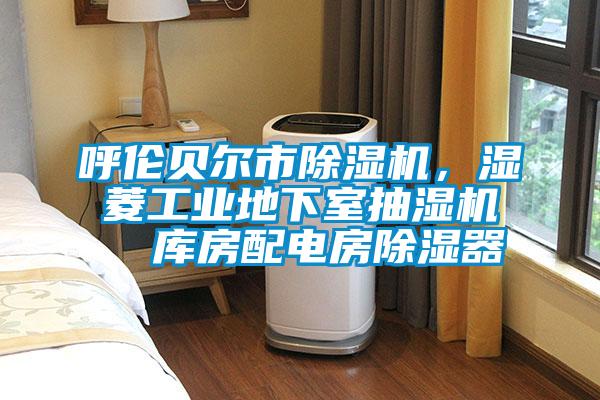 呼伦贝尔市蜜柚直播APP正版下载，湿菱工业地下室抽湿机  库房配电房除湿器