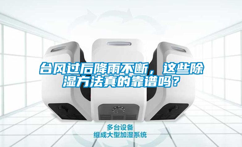 台风过后降雨不断，这些除湿方法真的靠谱吗？