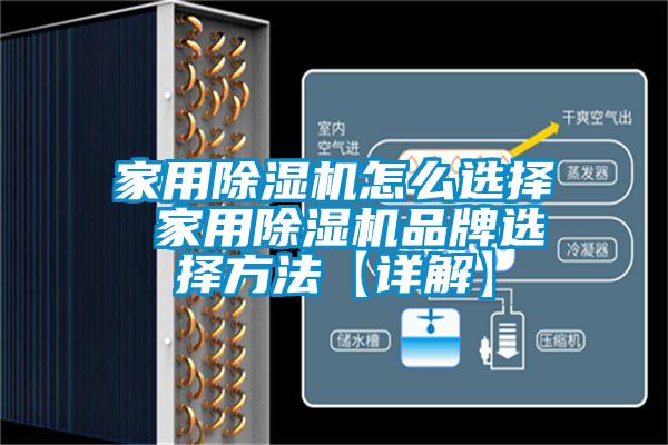 家用蜜柚直播APP正版下载怎么选择 家用蜜柚直播APP正版下载品牌选择方法【详解】
