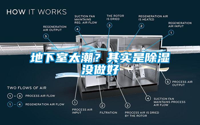 地下室太潮？其实是除湿没做好