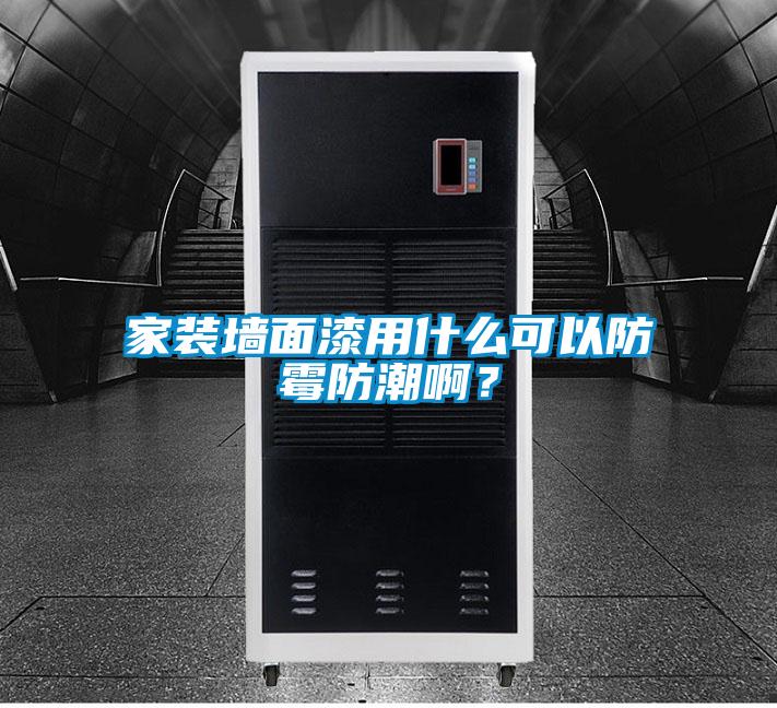 家装墙面漆用什么可以防霉防潮啊？