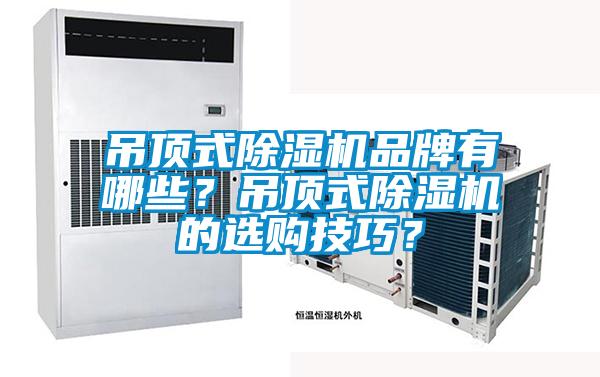 吊顶式蜜柚直播APP正版下载品牌有哪些？吊顶式蜜柚直播APP正版下载的选购技巧？