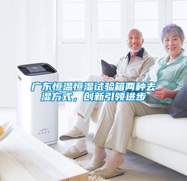 广东恒温恒湿试验箱两种去湿方式，创新引领进步