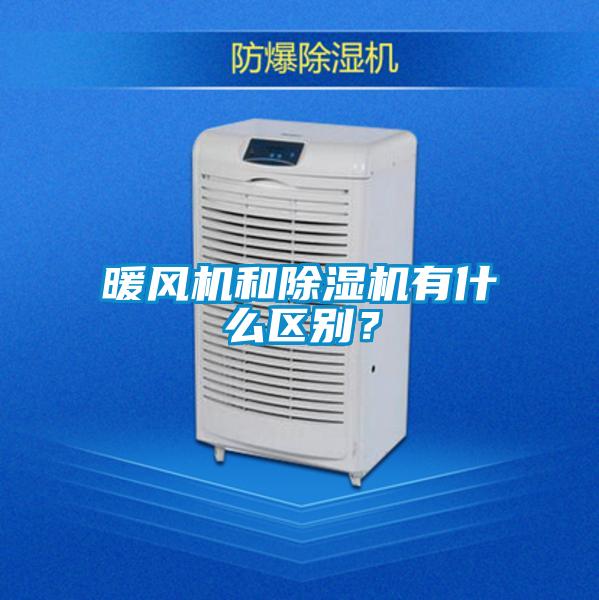 暖风机和蜜柚直播APP正版下载有什么区别？