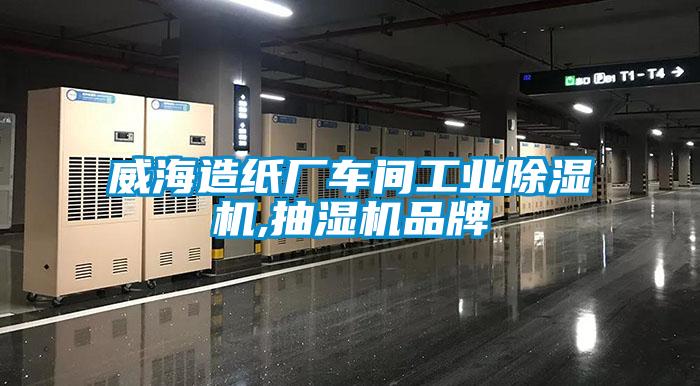 威海造纸厂车间工业蜜柚直播APP正版下载,抽湿机品牌
