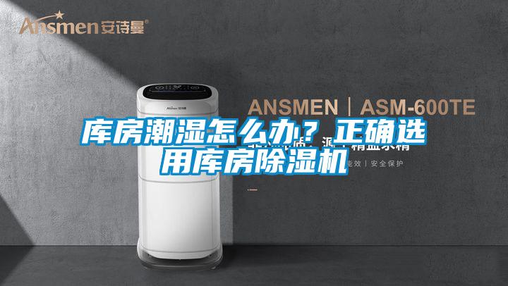 库房潮湿怎么办？正确选用库房蜜柚直播APP正版下载
