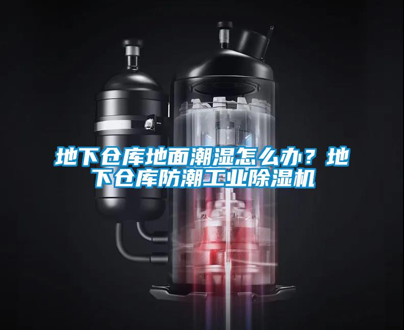 地下仓库地面潮湿怎么办？地下仓库防潮工业蜜柚直播APP正版下载
