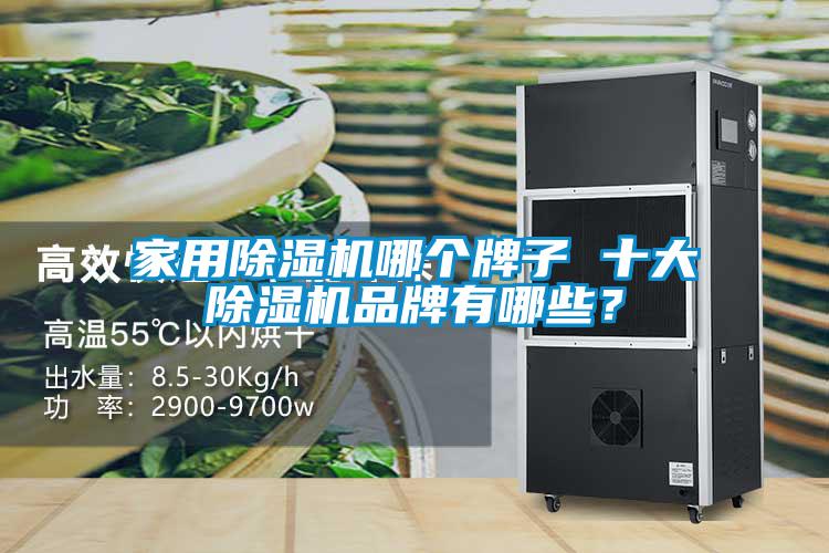家用蜜柚直播APP正版下载哪个牌子 十大蜜柚直播APP正版下载品牌有哪些？