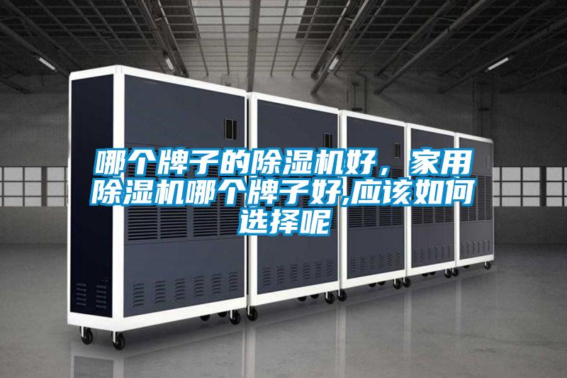 哪个牌子的蜜柚直播APP正版下载好，家用蜜柚直播APP正版下载哪个牌子好,应该如何选择呢