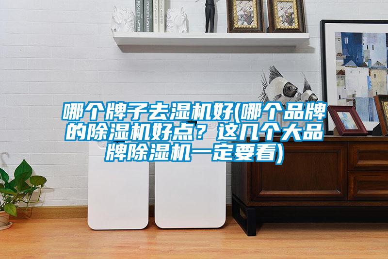 哪个牌子去湿机好(哪个品牌的蜜柚直播APP正版下载好点？这几个大品牌蜜柚直播APP正版下载一定要看)